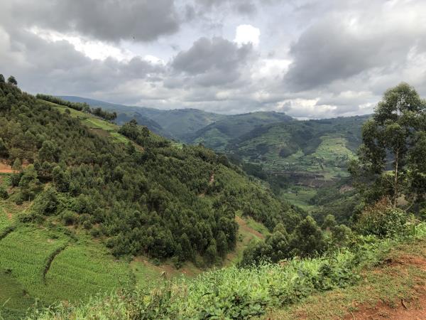 Uganda family holiday, wildlife and culture