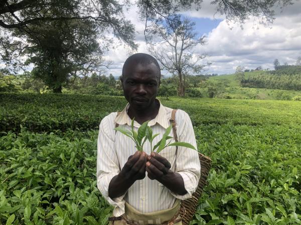 Uganda family holiday, wildlife and culture