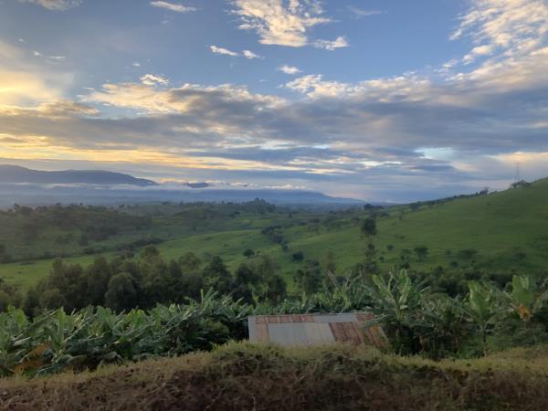 Uganda family holiday, wildlife and culture