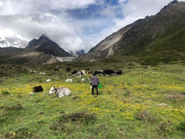 Gama Valley trekking holiday in Tibet