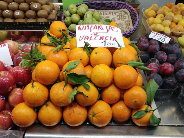 Valencia tailor made holiday in Spain