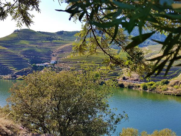 Porto cultural tour in Portugal