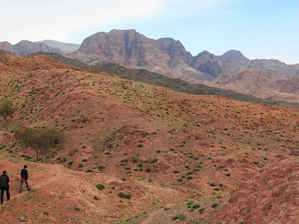 Jordan cultural tour, Petra and Wadi Rum