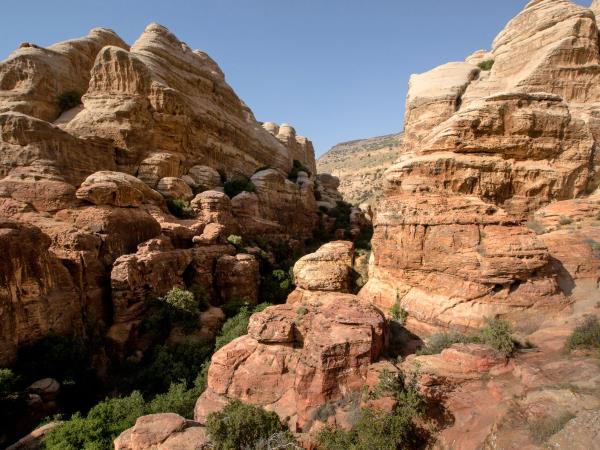 Jordan cultural tour, Petra and Wadi Rum