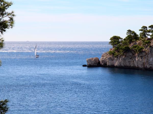 Provence lavender tour
