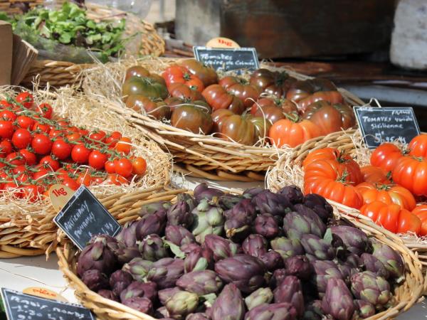 Provence lavender tour