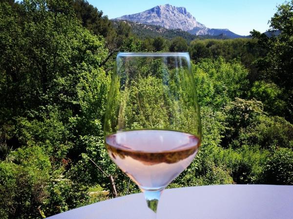 Provence lavender tour
