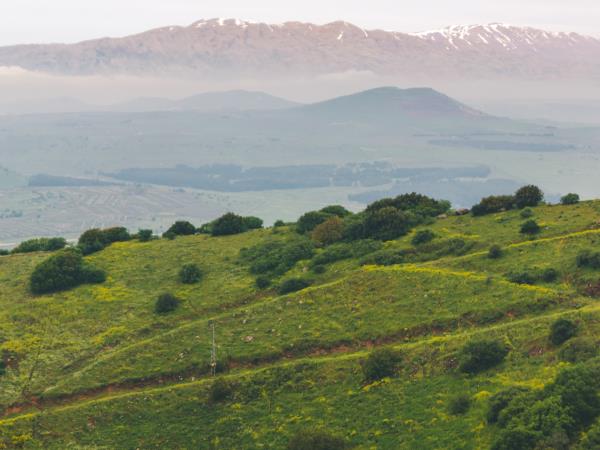 Nazareth and Sea of Galilee tour, Israel