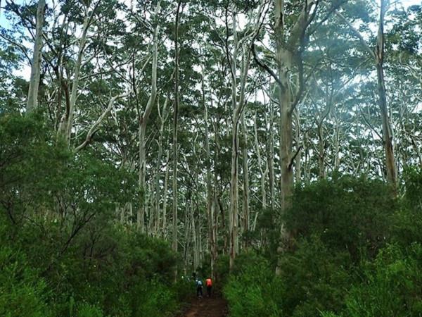 Cape to Cape self guided walking holiday, Australia