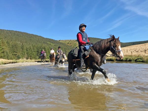 Border to coast horse riding holiday in Wales