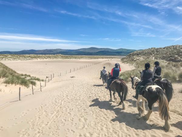 Border to coast horse riding holiday in Wales