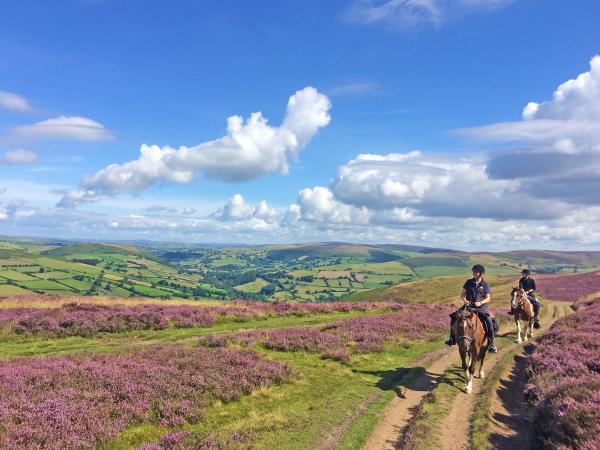 Wye Valley horseriding holiday in Wales