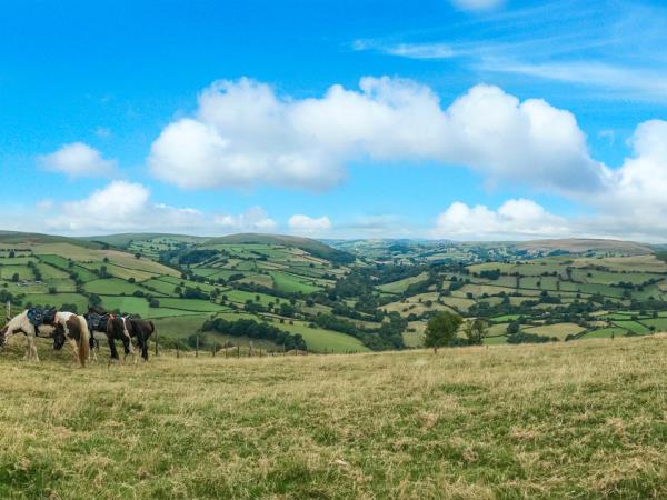 Wye Valley horseriding holiday in Wales