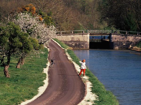 Burgundy self guided cycling tours, France