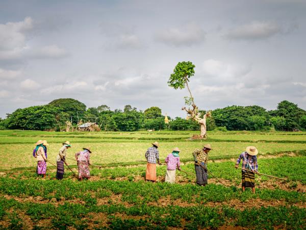 Myanmar photography and trekking tour