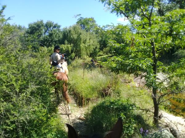 Horse riding holiday in Argentina