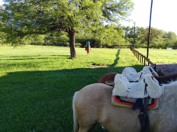 Learn to ride a horse in Argentina