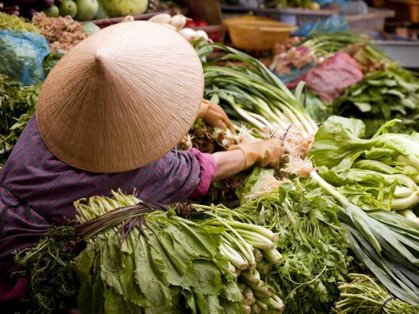 Vietnam adventure holiday, Pho, Fun & Sun