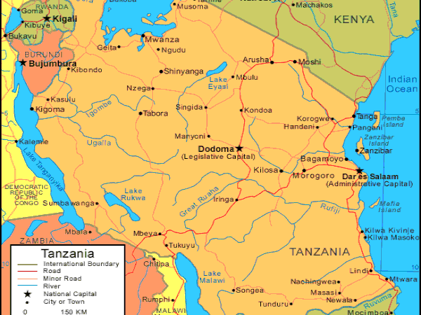 Tanzania wildlife tour, tailor made