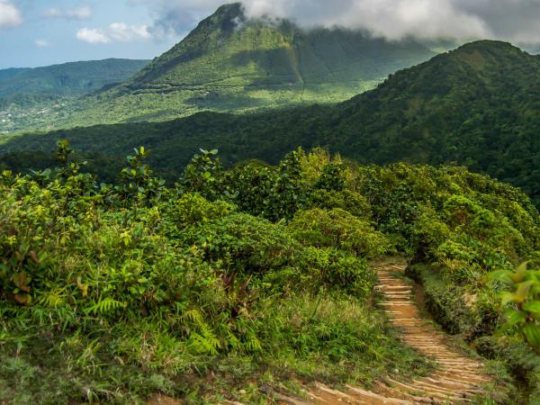 Dominica walking holidays
