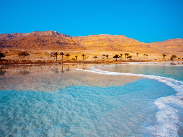 Desert and Dead Sea holiday in Jordan