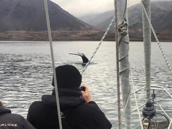 Norway to Iceland sailing holiday