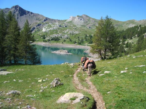 Mercantour family walking holiday, France