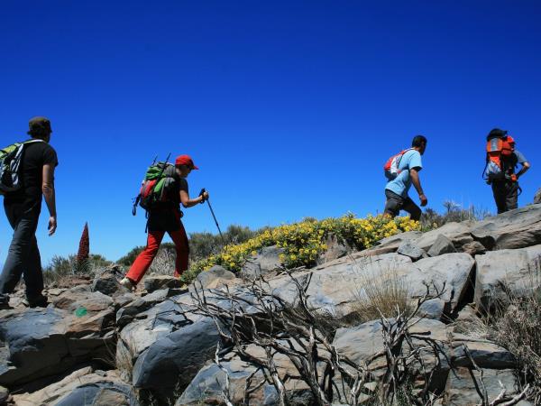 Canary Islands tour