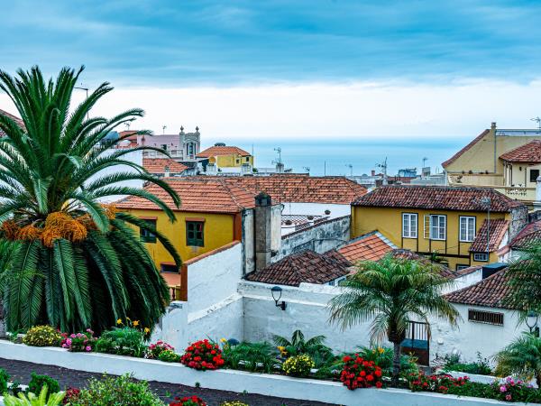 Canary Islands tour