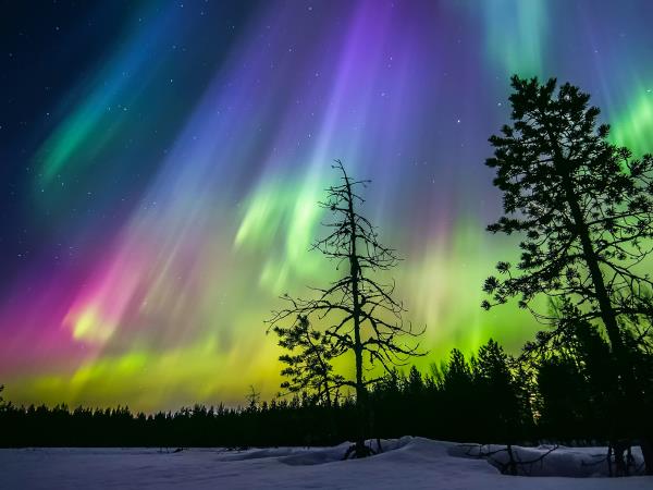 The best of Lapland in 5 days