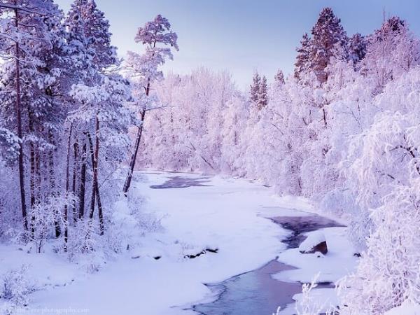The best of Lapland in 5 days