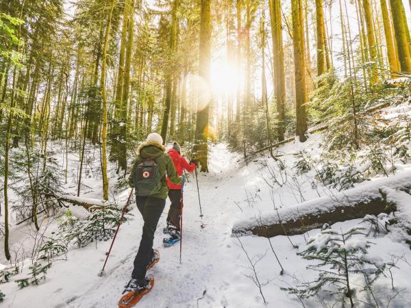 The best of Lapland in 5 days