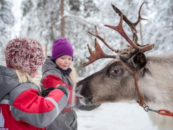 The best of Lapland in 5 days