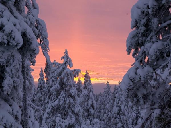 Weekend break in Lapland with santa