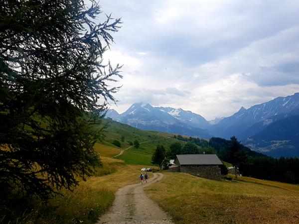 Alpine GR5 guided walking holiday in France