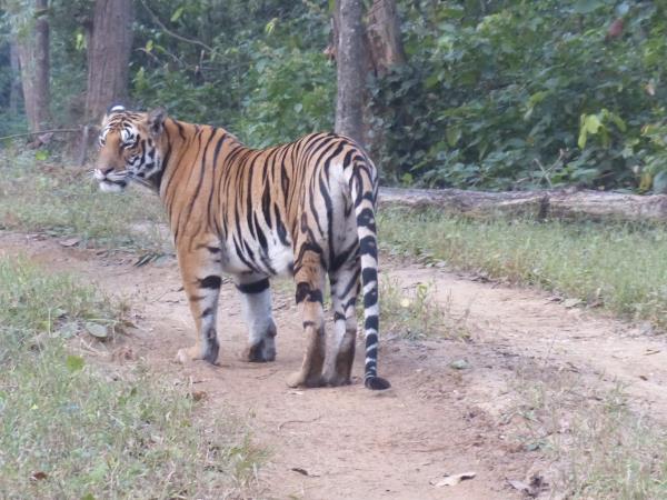 Central and Western India holiday, rural life