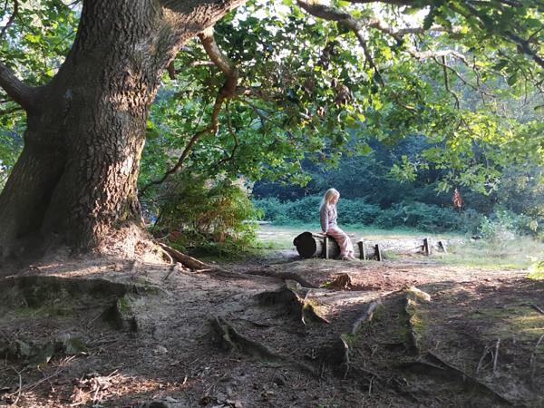 Beech Estate woodland campsite in Sussex
