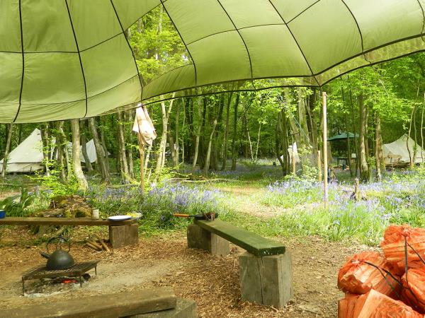 High Weald eco forest camping, England