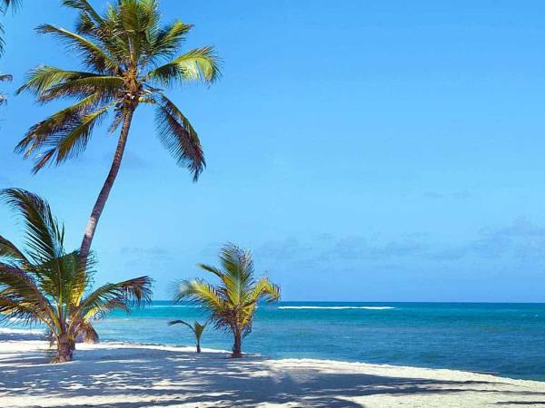 Wildlife safari and beach holiday in Kenya