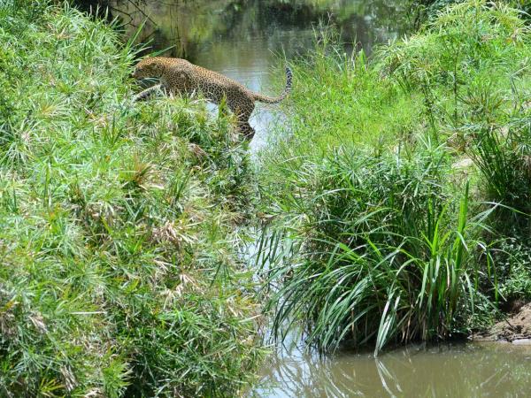 Highlights of Kenya luxury camping safari