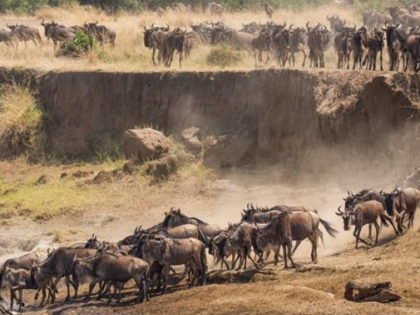 Highlights of Kenya luxury camping safari