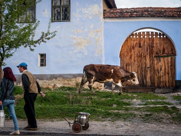 Summer photography tour of Romania