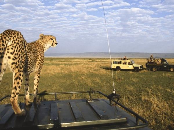 Kenya and Tanzania bespoke wildlife holiday