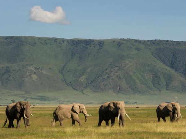 Kenya, Tanzania and Zanzibar holiday