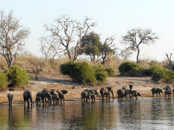 Botswana and Zimbabwe holiday