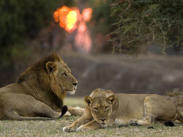 Botswana and Zimbabwe holiday
