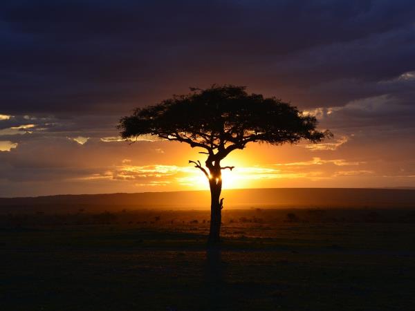 Kenya highlights tour, a week in Kenya
