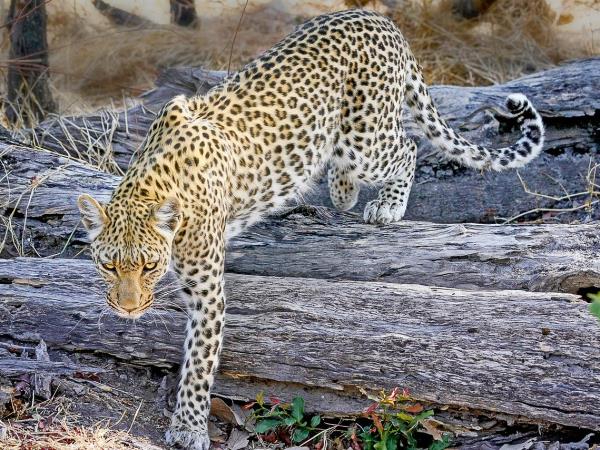 Kenya highlights tour, a week in Kenya