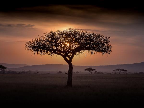 Best of Tanzania small group holiday