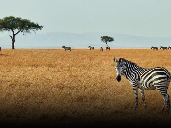 Best of Tanzania small group holiday
